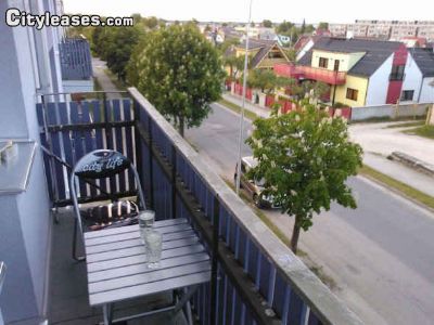 image_8