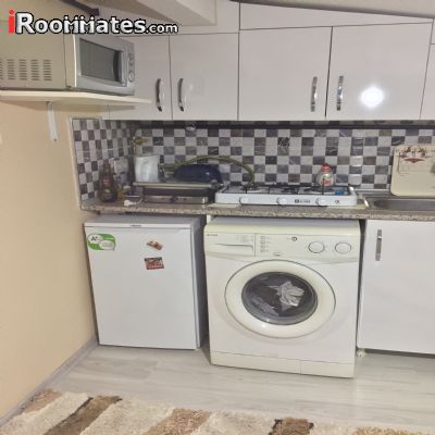 image_1