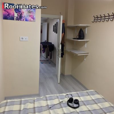 image_5