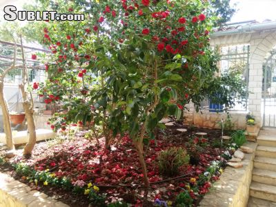image_4