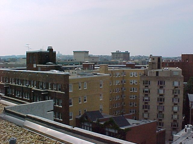 image_11