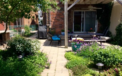 image_8