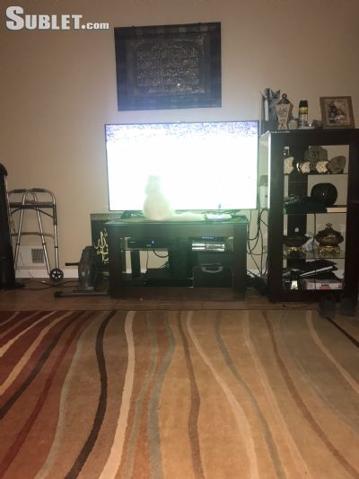 image_1