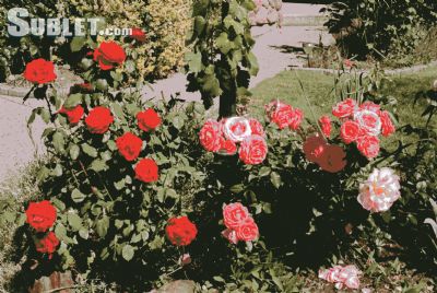 image_1