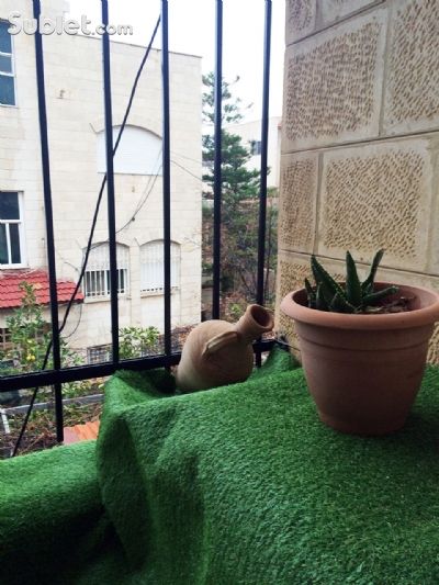 image_8