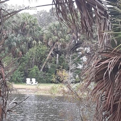 image_1