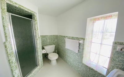 image_7