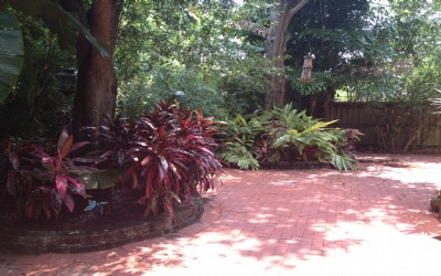 image_1