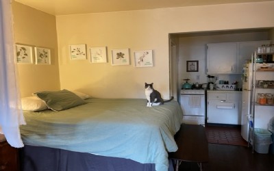 image_1