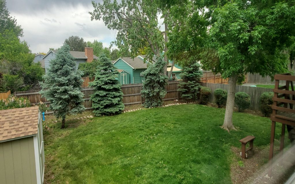 image_6