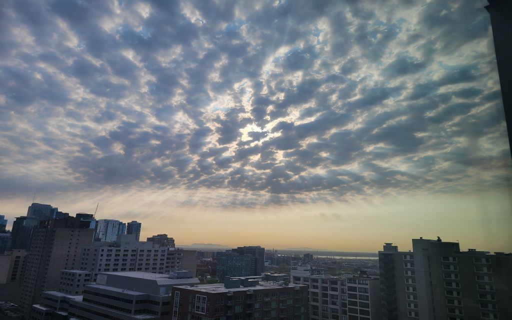 image_12