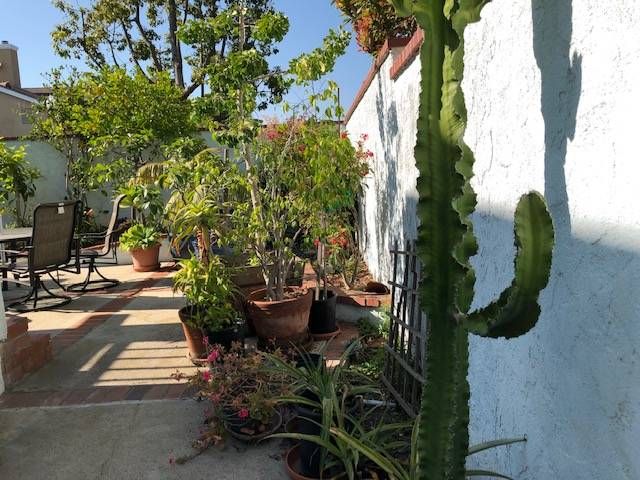 image_18