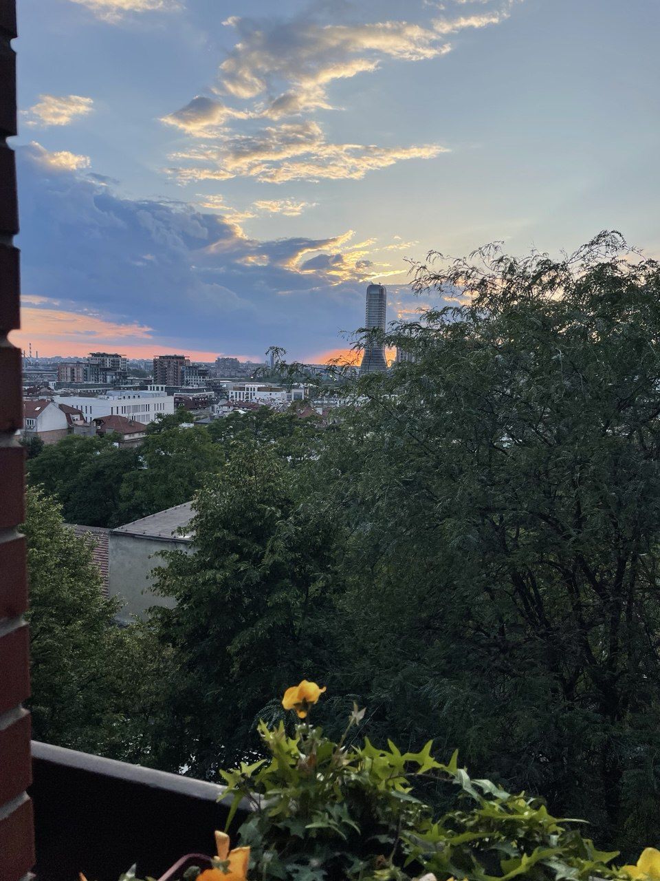 image_3
