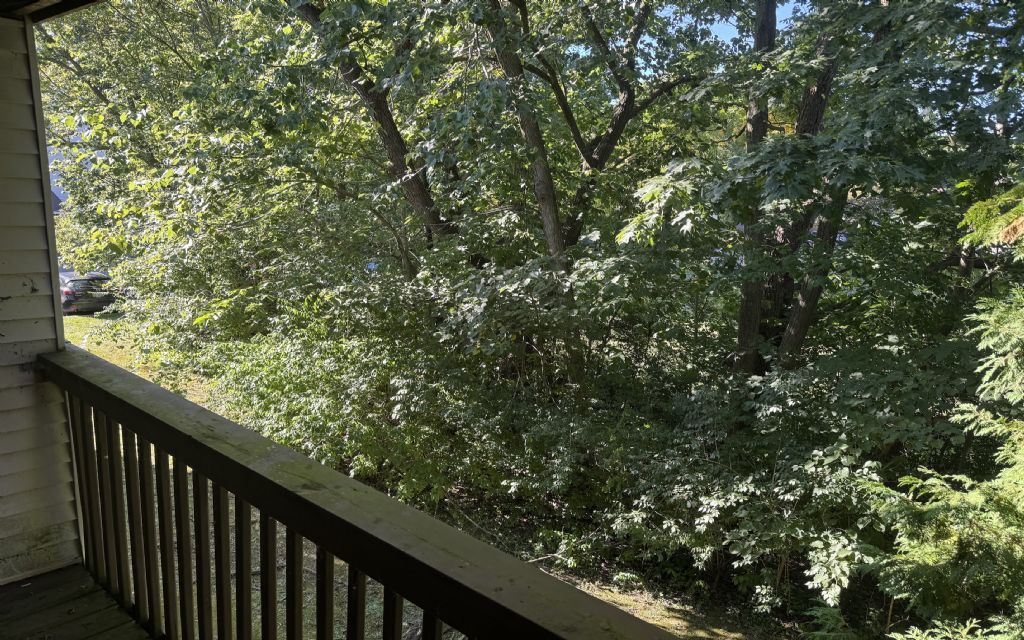image_1