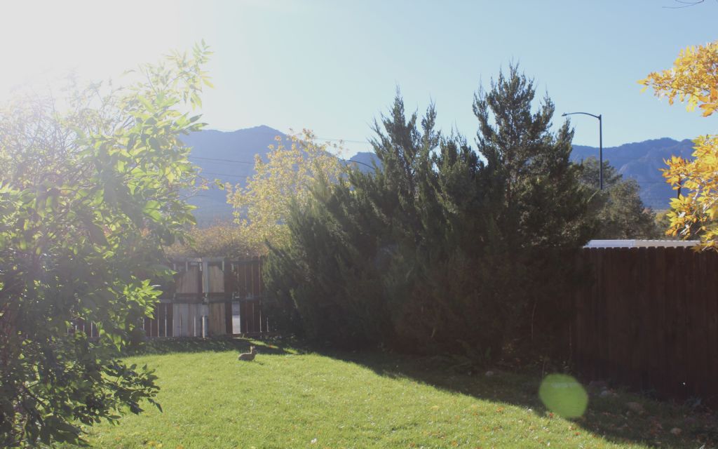 image_8