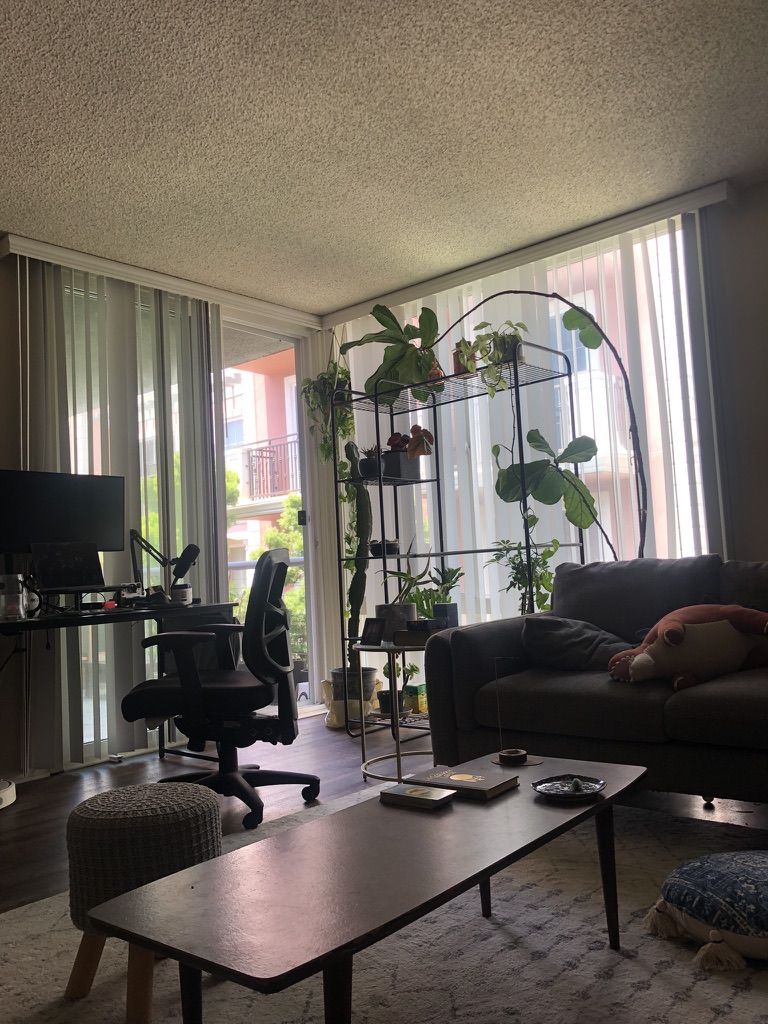 image_0