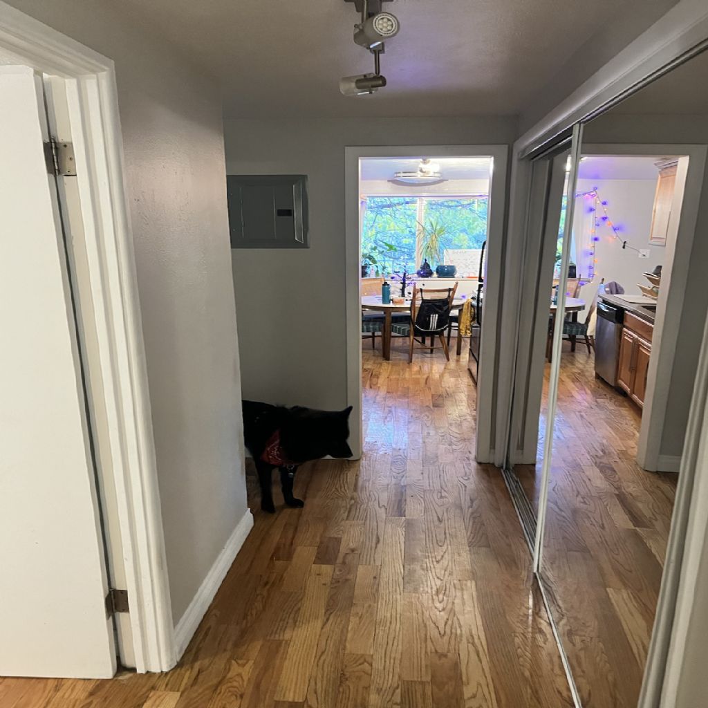 image_1