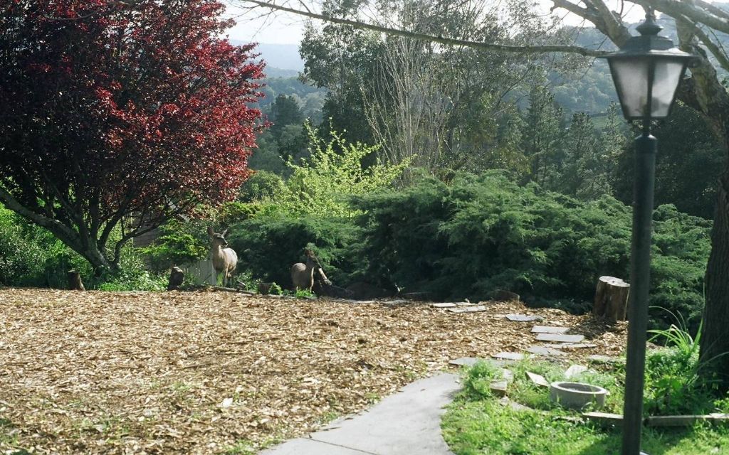 image_0