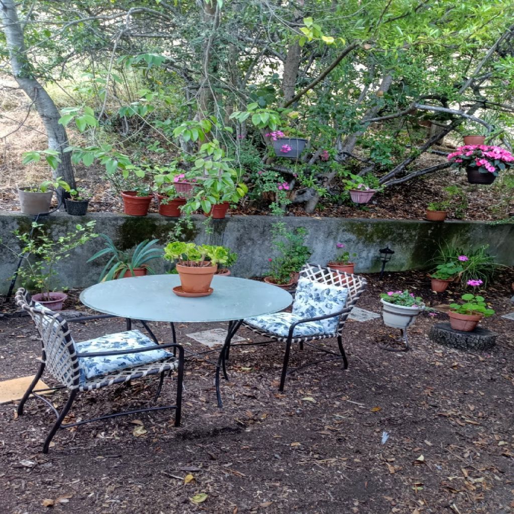 image_1