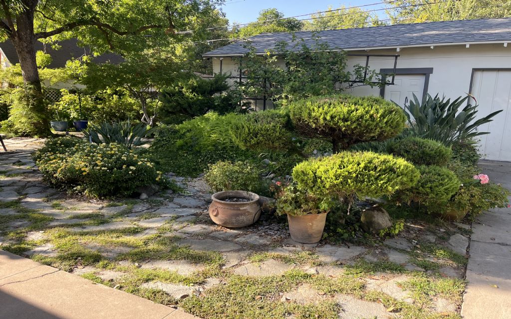 image_1