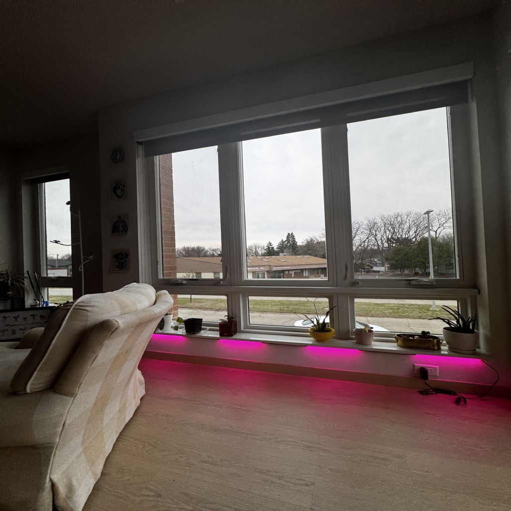 image_1