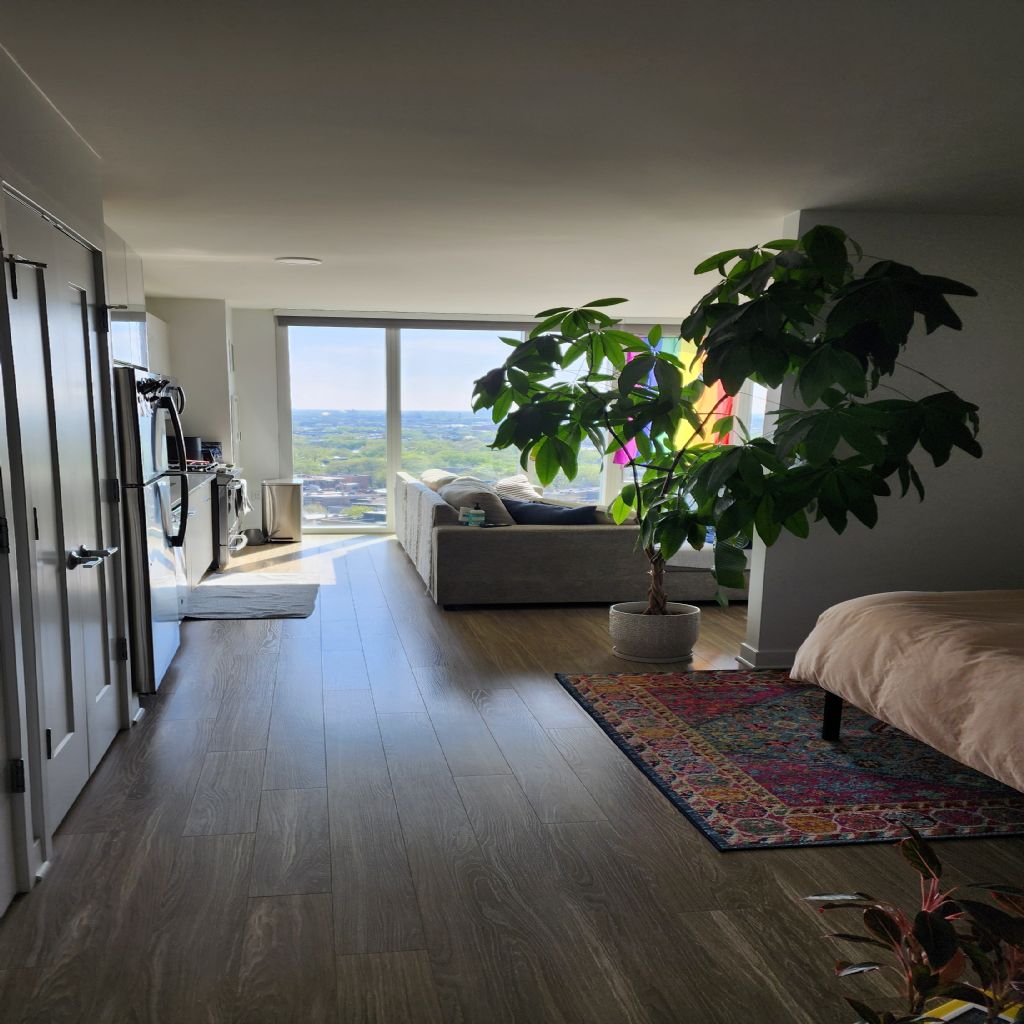 image_7