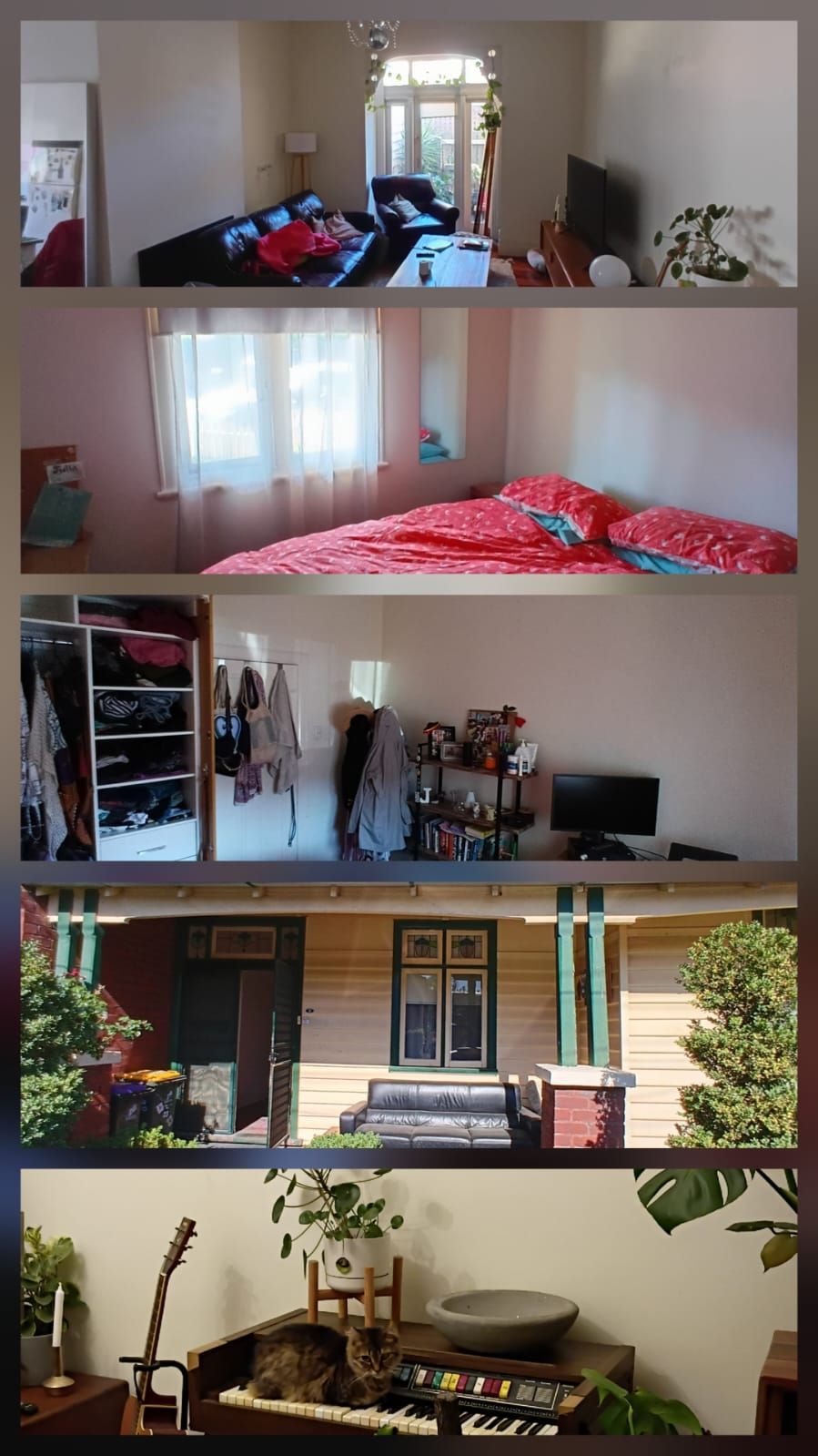 image_1