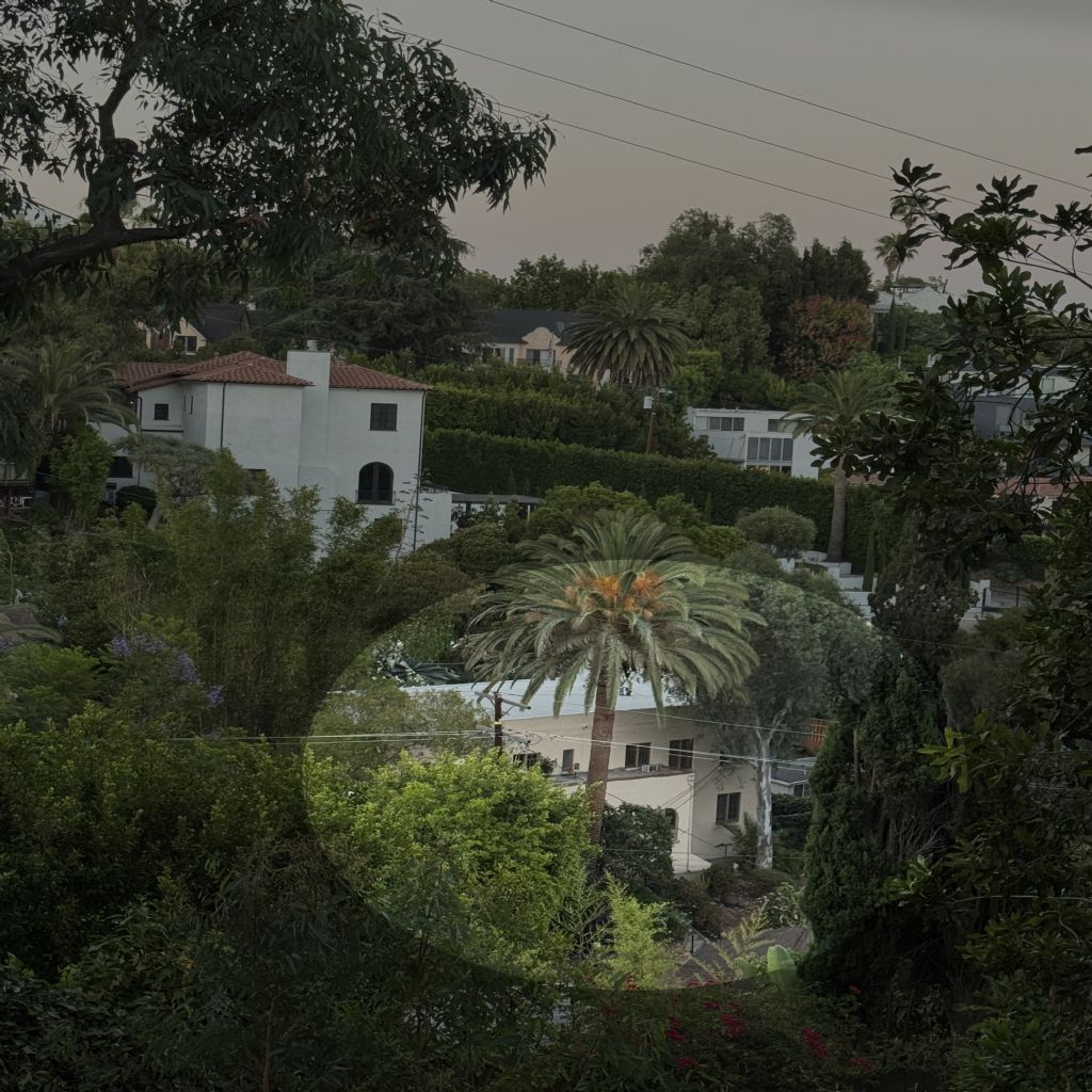image_6