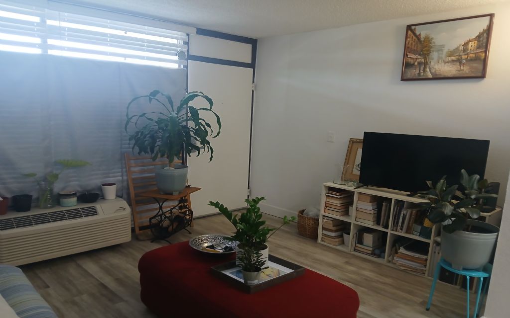 image_1