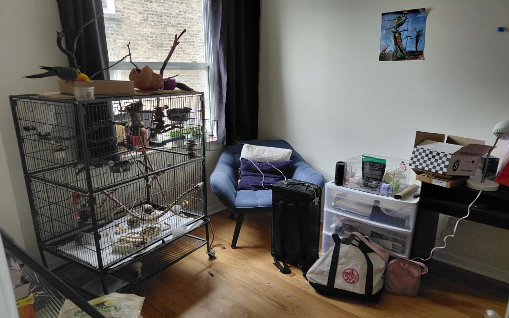 image_1