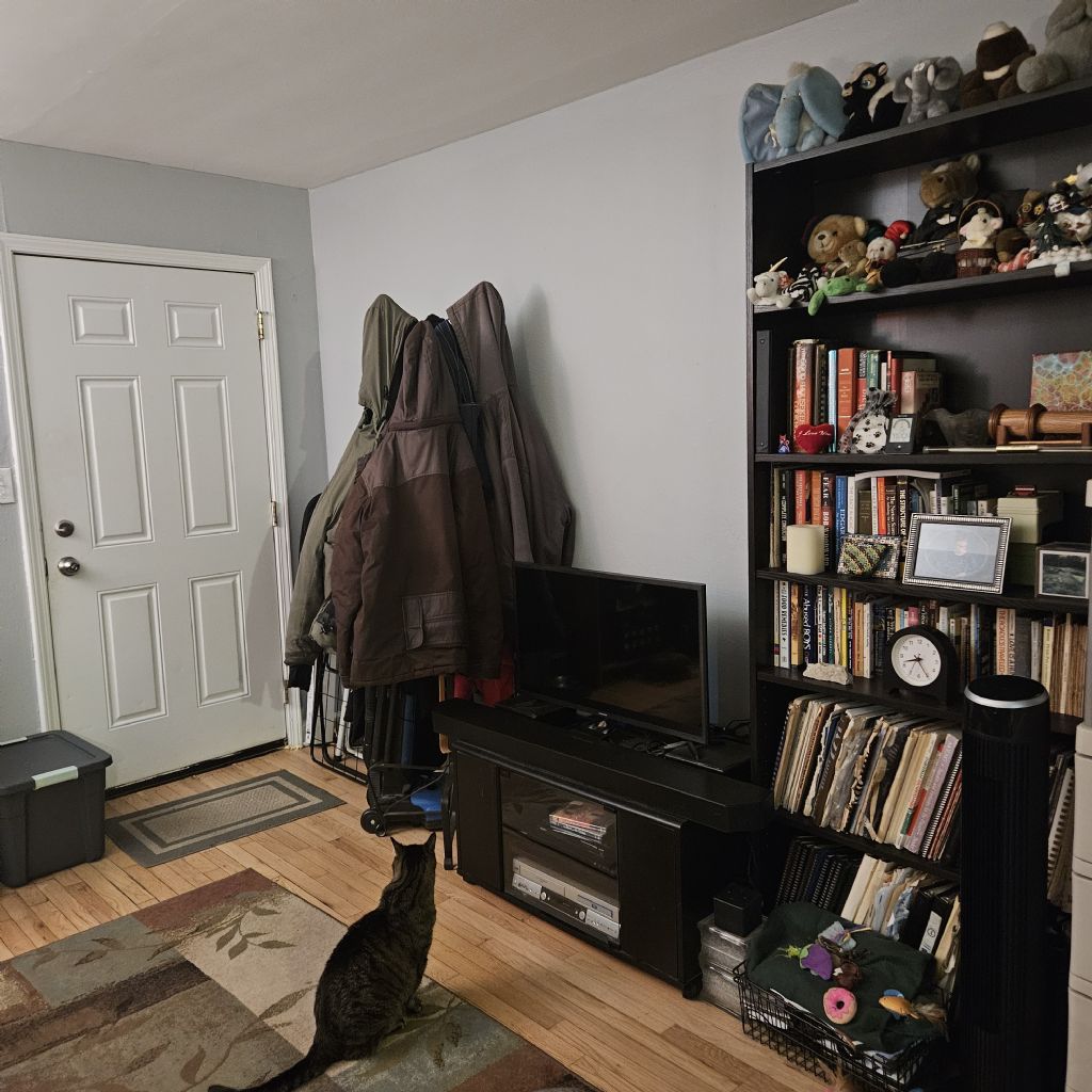 image_9
