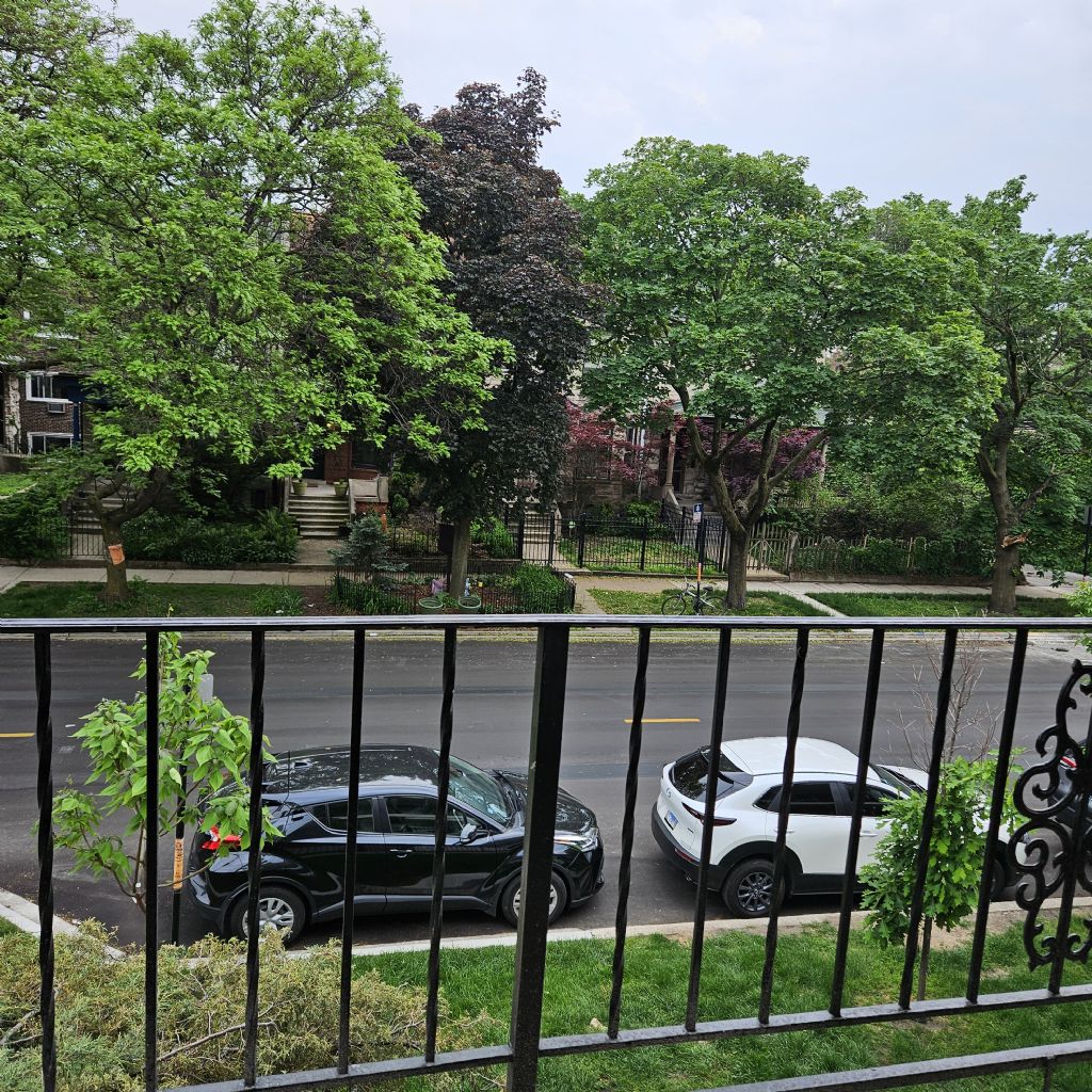 image_1