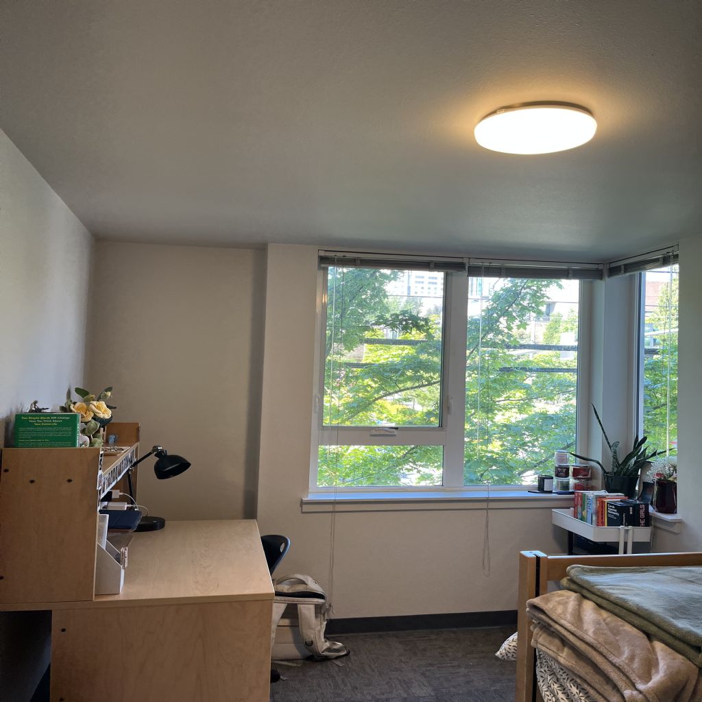 image_1