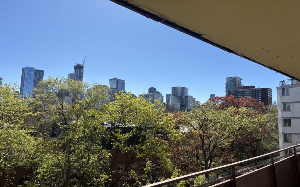 image_1
