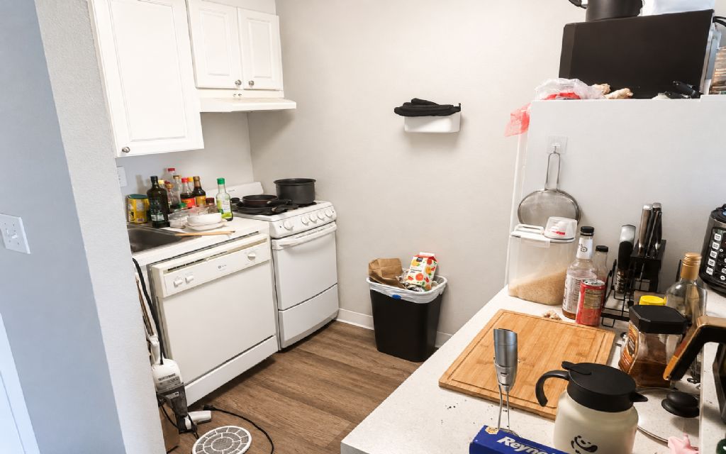 image_1