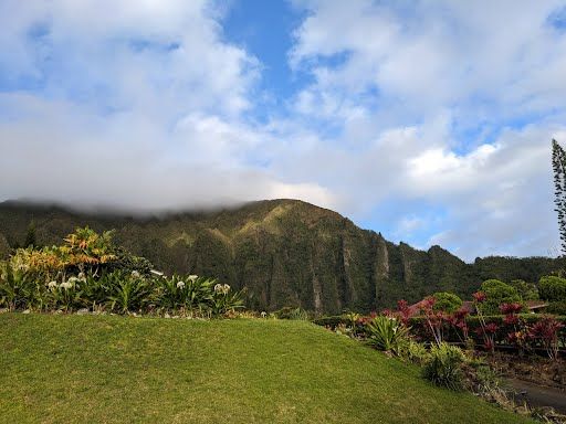 image_1