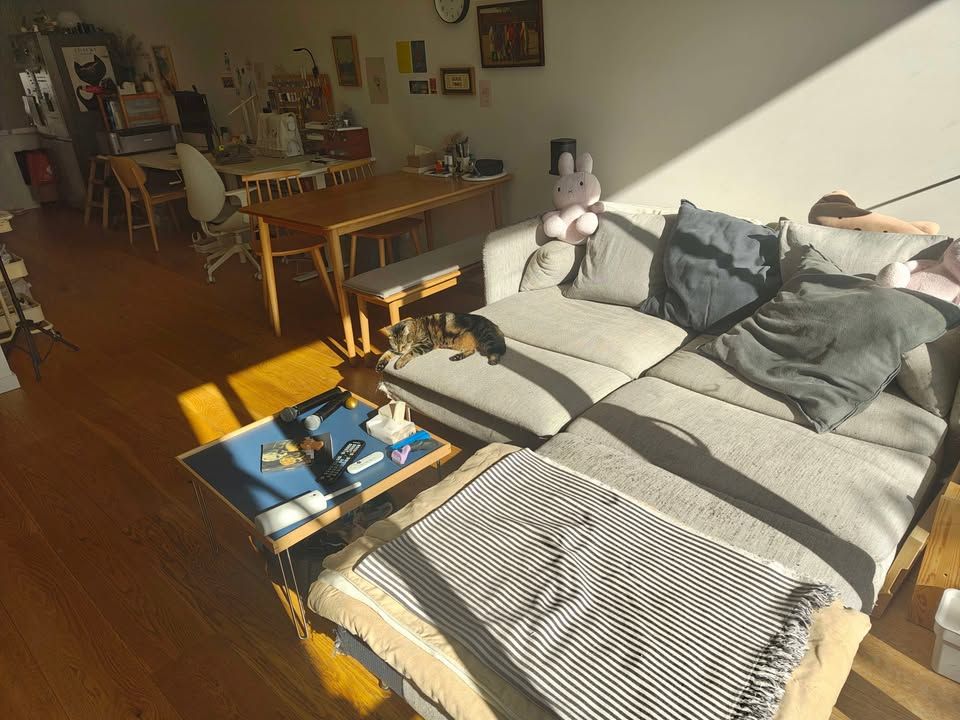 image_3