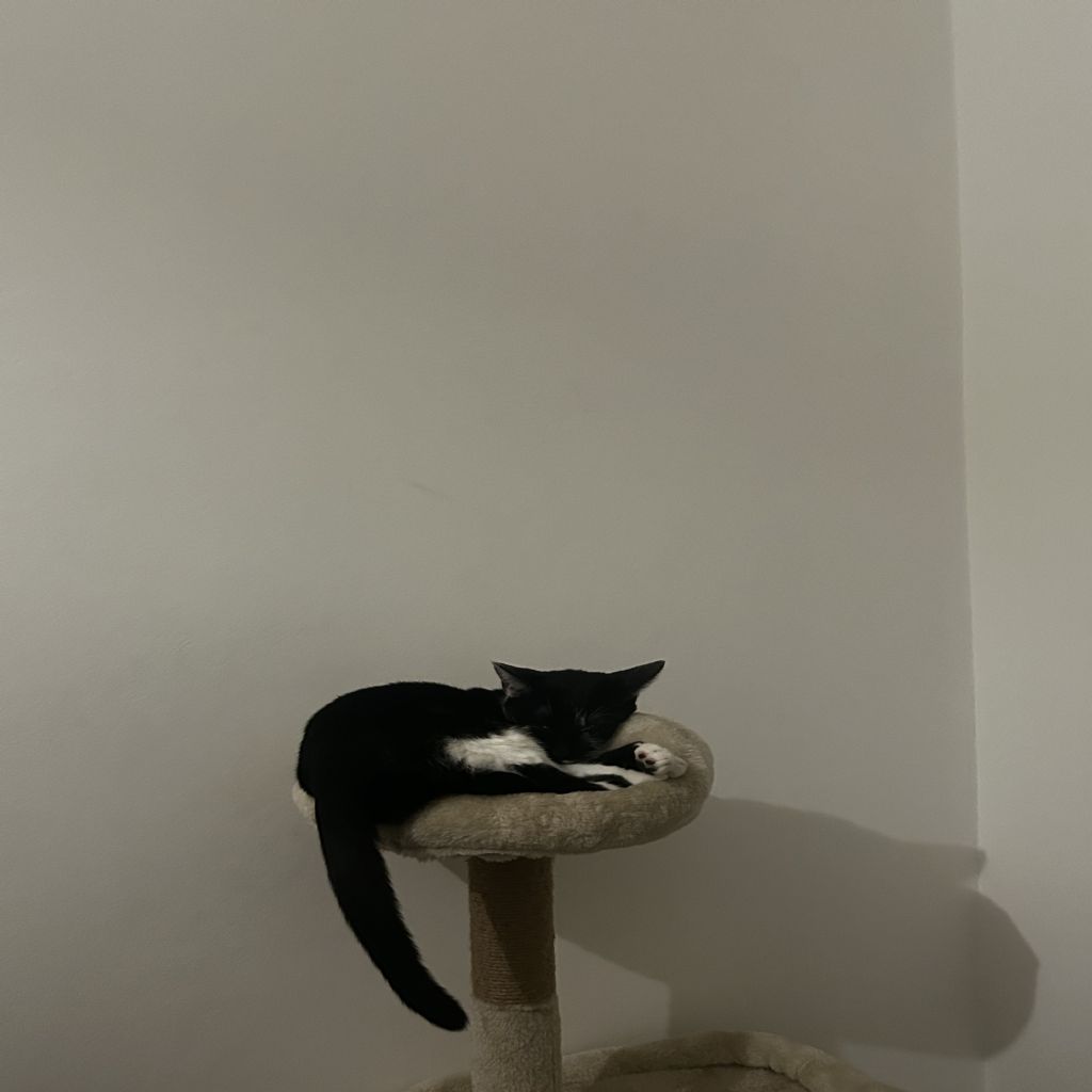 image_5