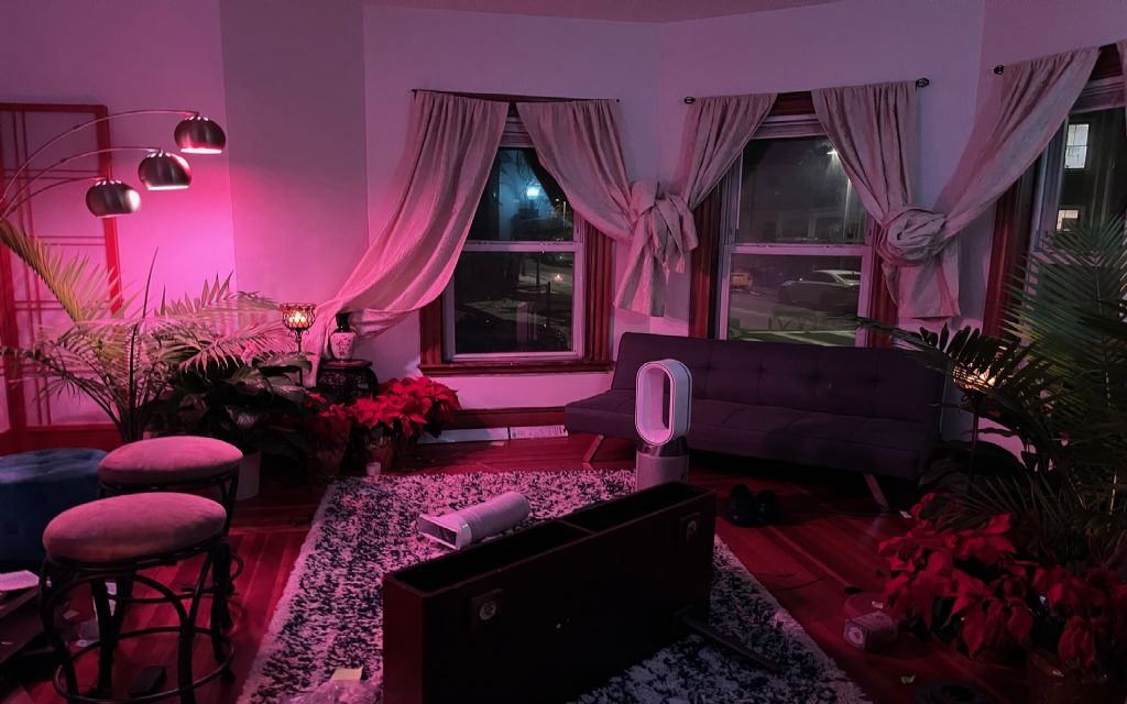 image_6