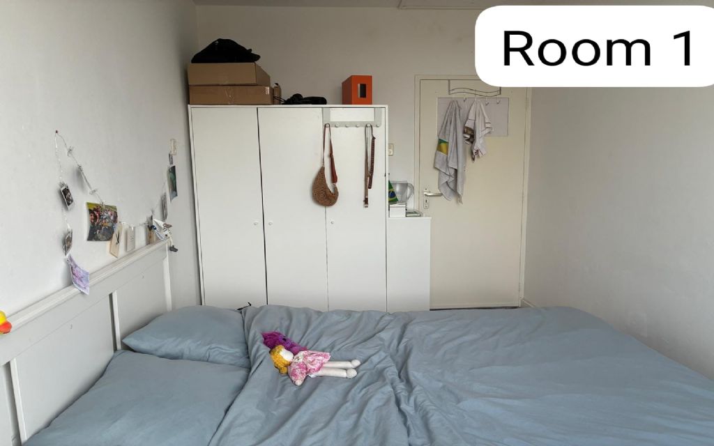image_1