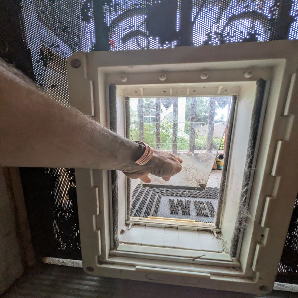 image_1