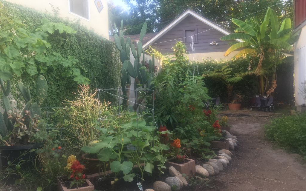 image_2