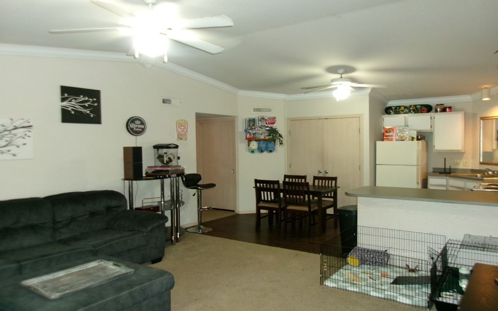 image_0