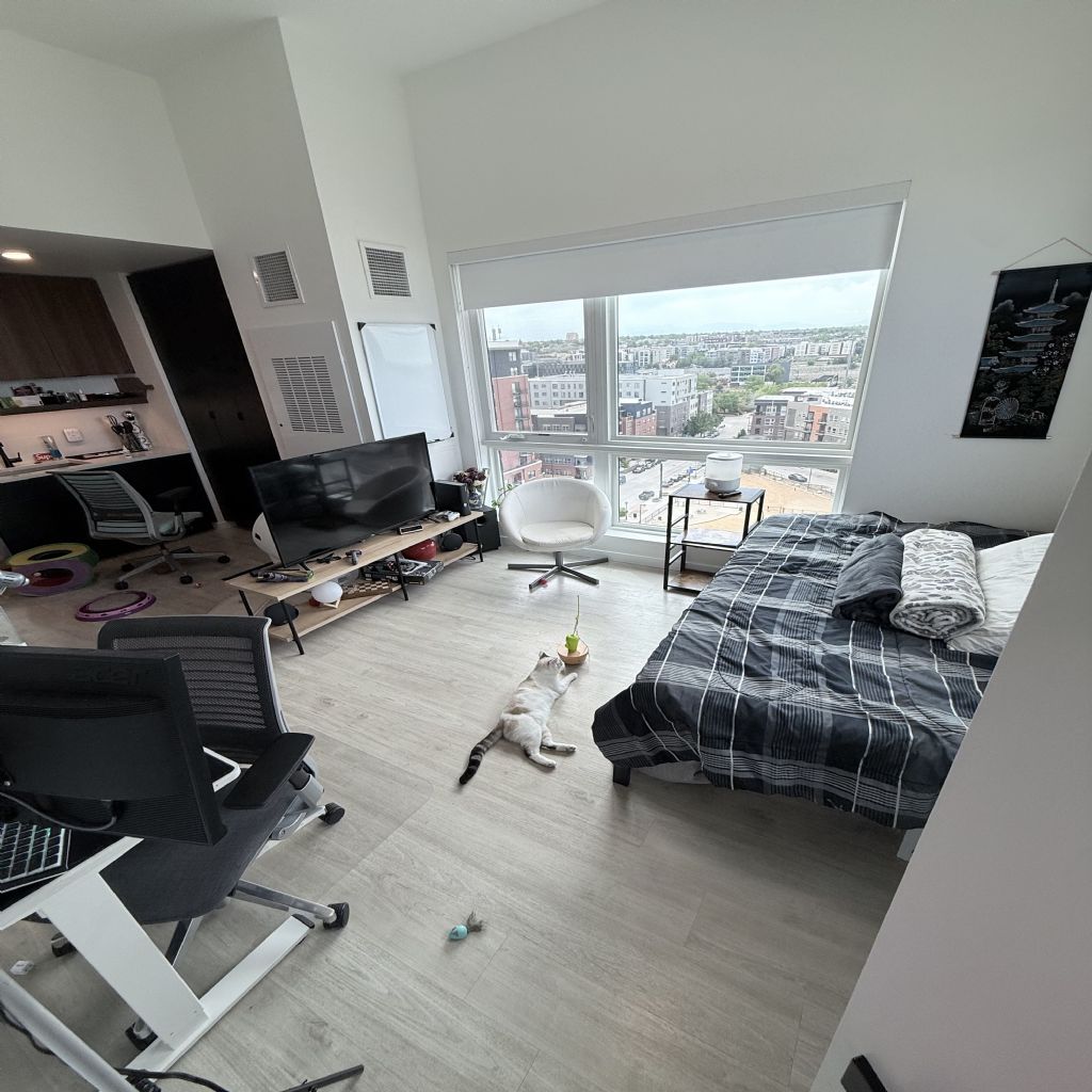 image_1