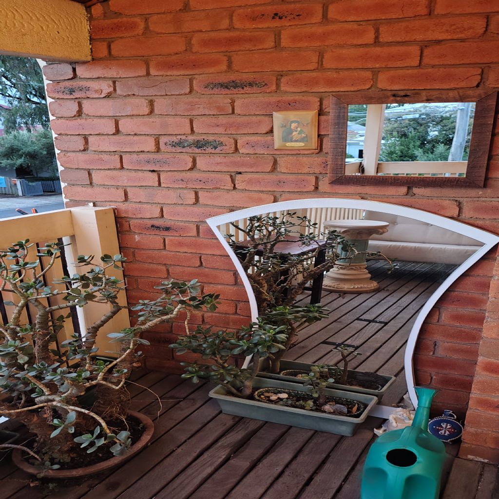 image_9