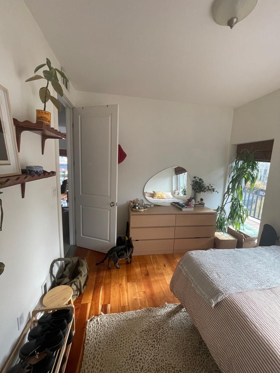image_1