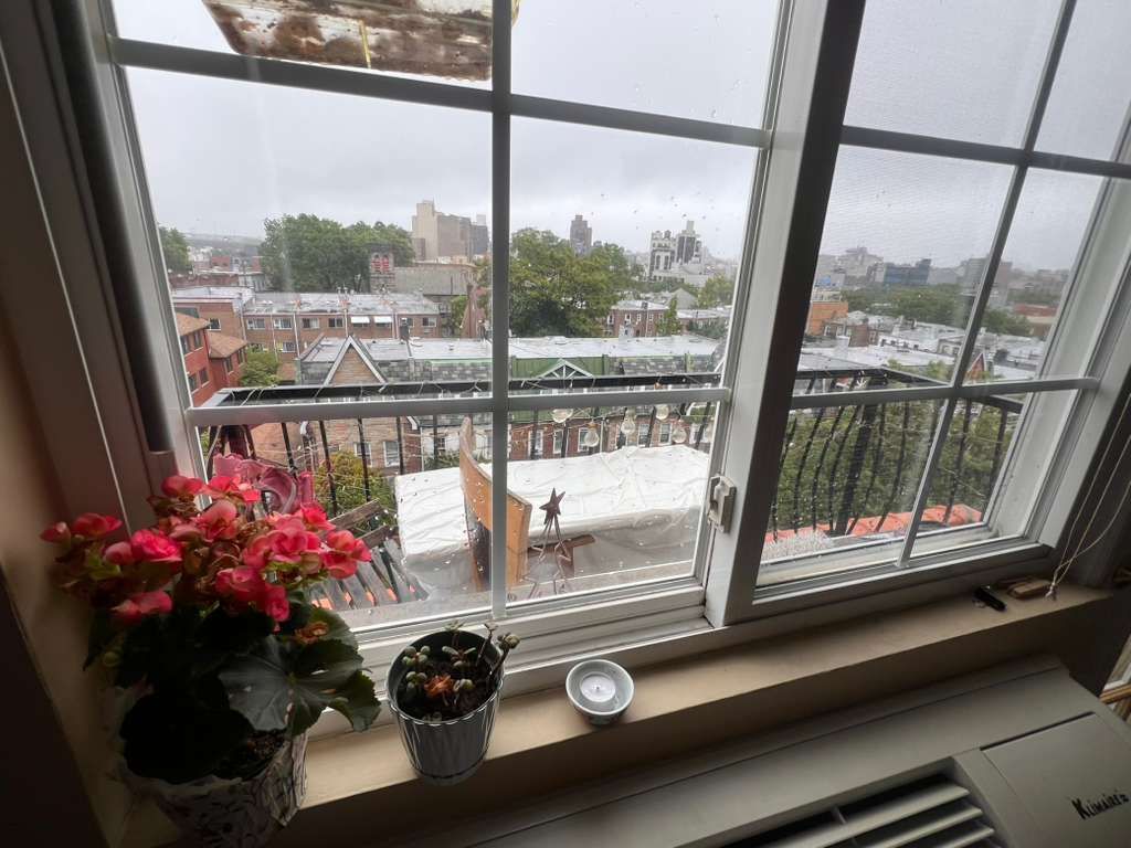 image_1