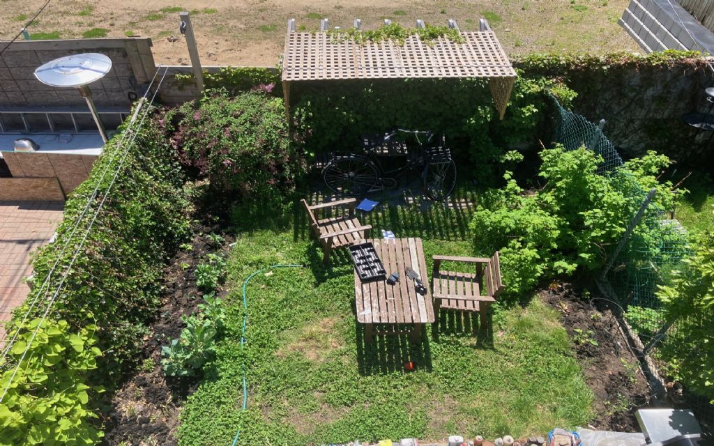 image_7