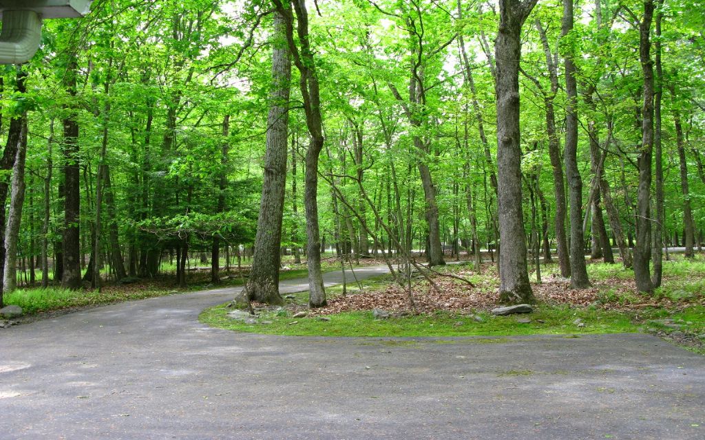 image_1