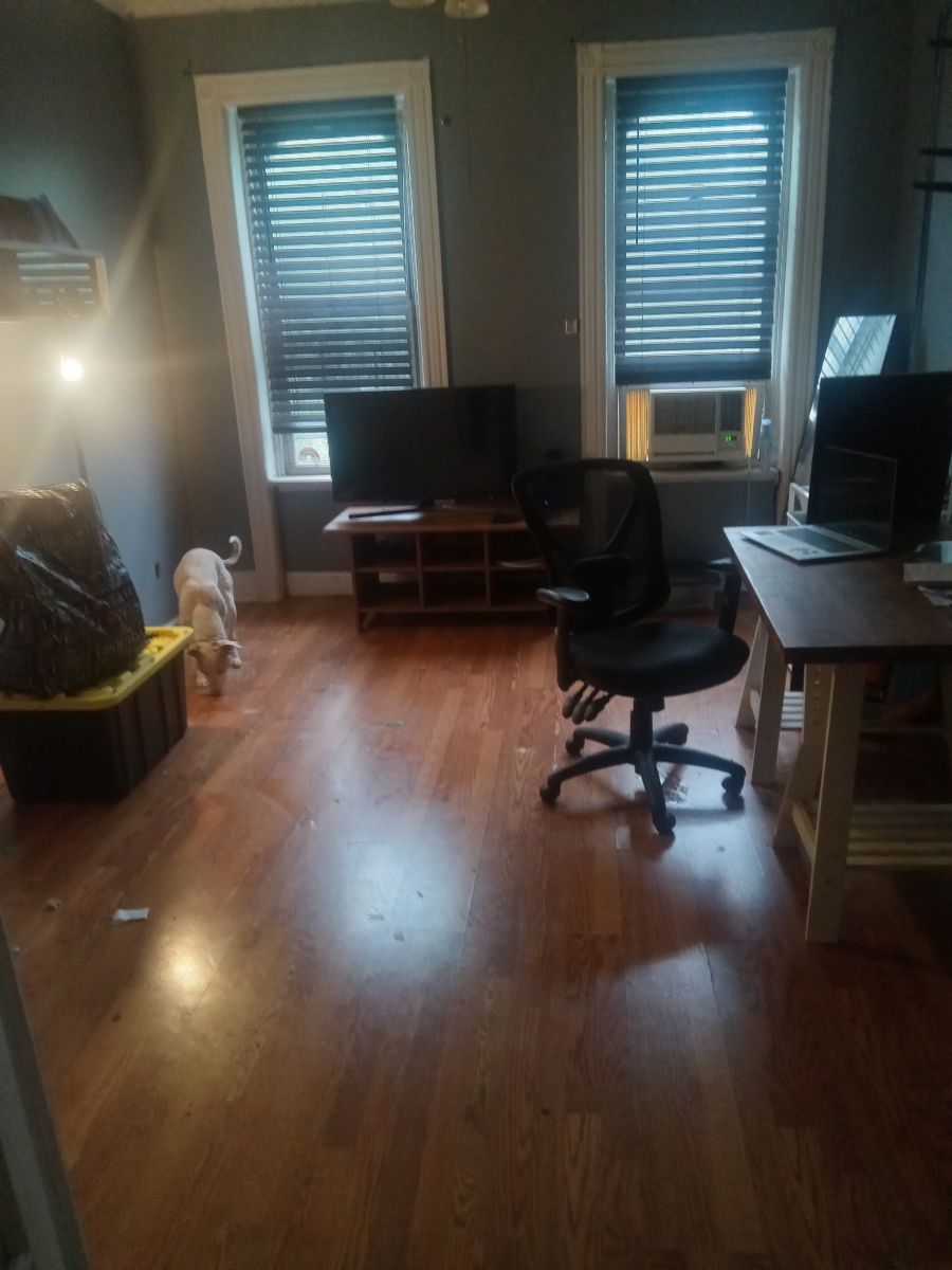 image_1